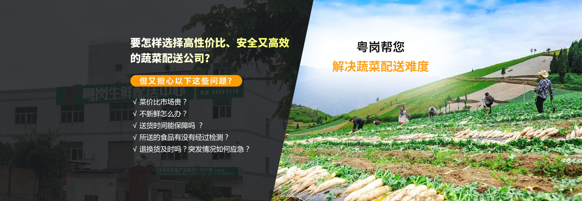 banner首頁(yè)輪播圖粵崗蔬菜配送