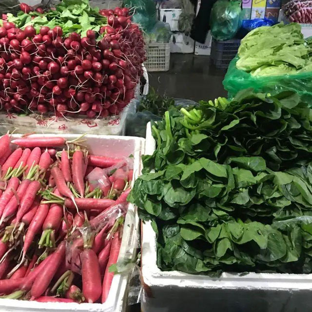 深圳蔬菜批發
