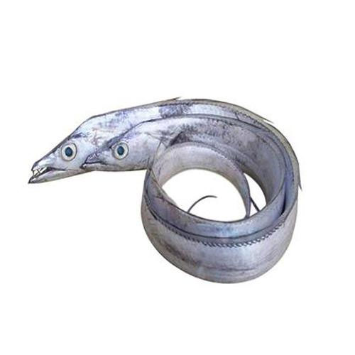 帶魚配送
